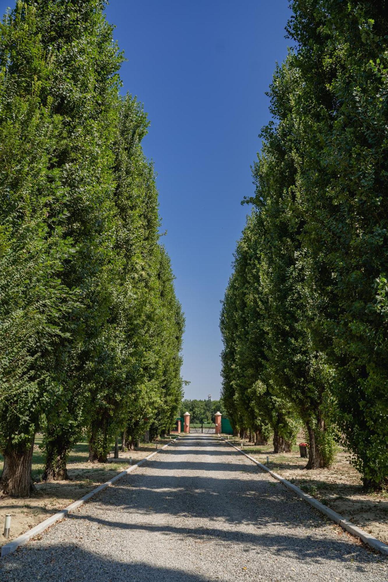 Villa Iris Modena Buitenkant foto